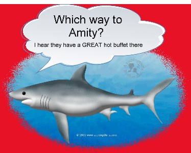 ../Images/Amity shark L1.jpg